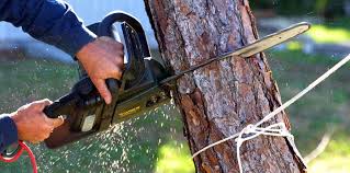 Best Emergency Tree Removal  in Whiting, WI